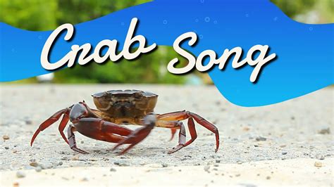 crab song youtube.